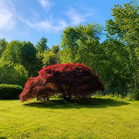 Villa Cozy Near Maggiore And Malpensa Airport *